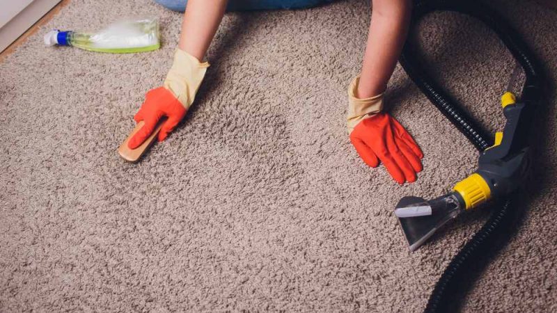 Why You Should Never Skimp on Carpet Cleaning