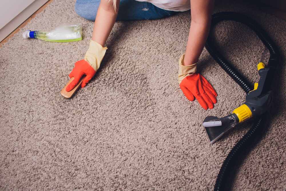 Why You Should Never Skimp on Carpet Cleaning